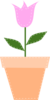 Pink Tulip In Flower Pot Clip Art